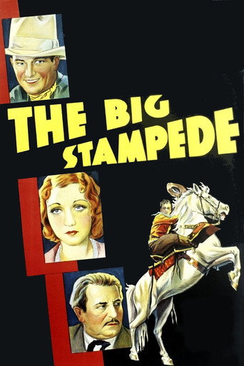 The Big Stampede movie poster