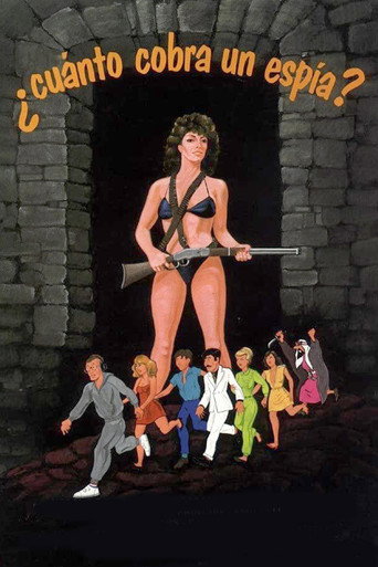 How Much Does a Spy Make? movie poster