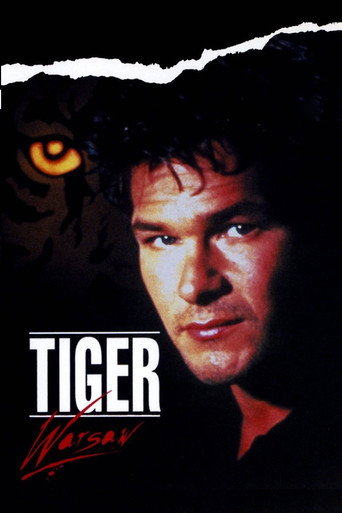 Tiger Warsaw movie poster