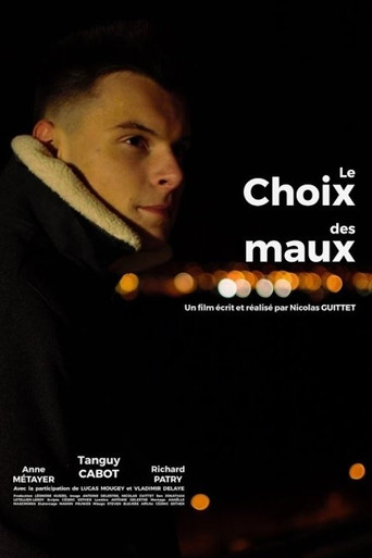 Le choix des maux movie poster