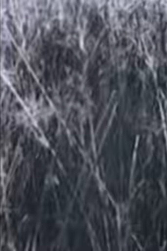 Return to the Sedge Fields movie poster