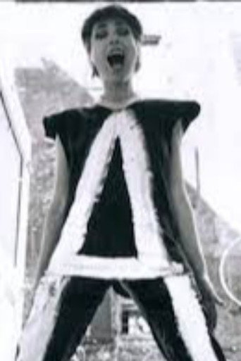IT’S A to Z: The ART OF ARLEEN SCHLOSS movie poster