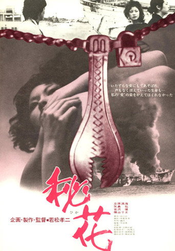Secret Flower movie poster