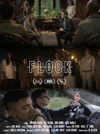 Flock movie poster