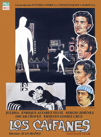 The Outsiders movie poster