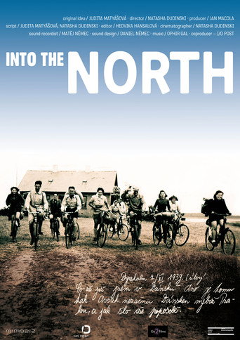 Into the North movie poster