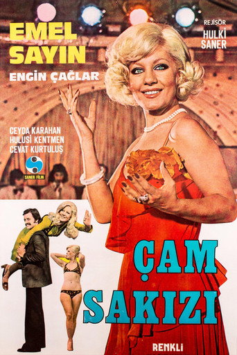 Çam Sakızı movie poster