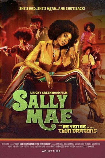 Sally Mae: The Revenge of the Twin Dragons movie poster