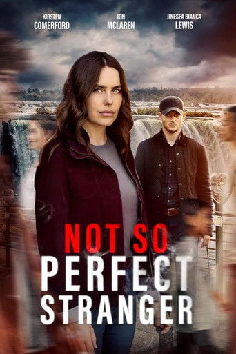 Not So Perfect Stranger movie poster