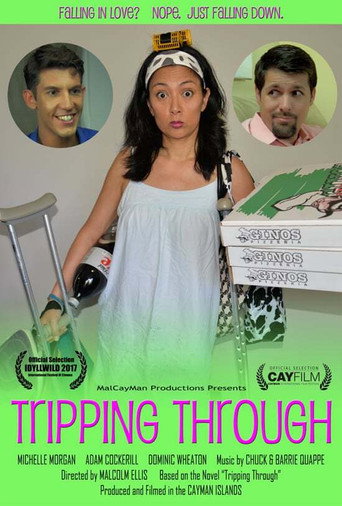 Tripping Through movie poster