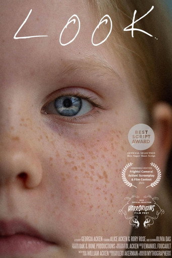 LOOK movie poster