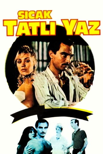 Sıcak Tatlı Yaz movie poster