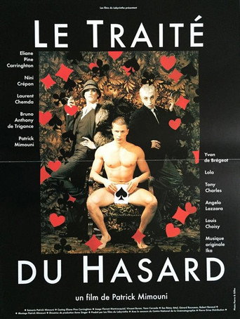 The Treaty of Chance movie poster