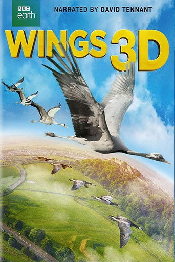 Wings 3D movie poster