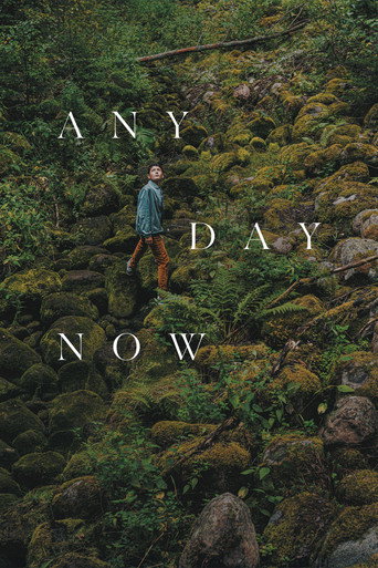 Any Day Now movie poster