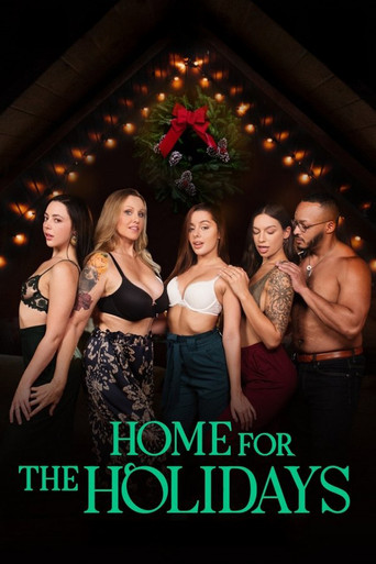 Home for the Holidays movie poster