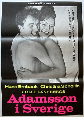 Adam in Sweden movie poster