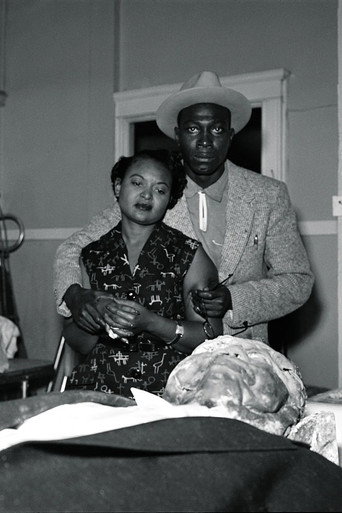 The Body of Emmett Till movie poster