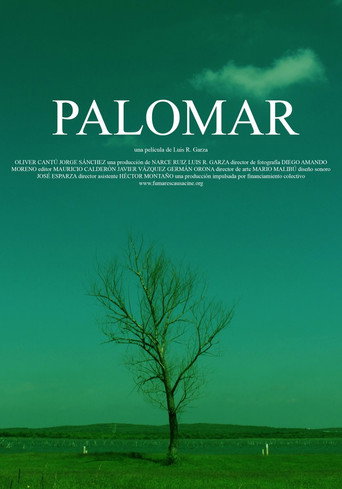 Palomar movie poster