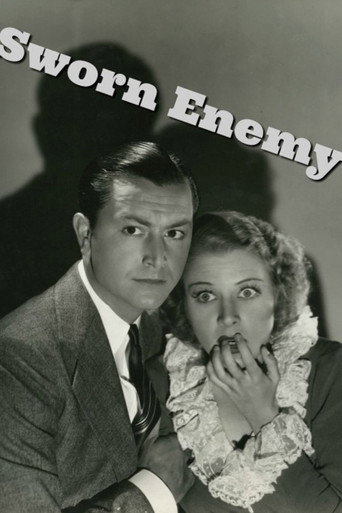 Sworn Enemy movie poster