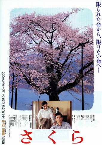 Sakura movie poster