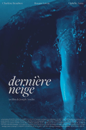 Dernière neige movie poster