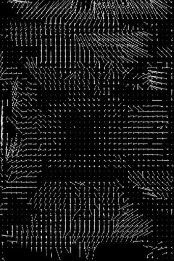Lossless #4 movie poster