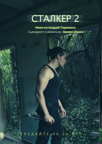 Stalker: The Curse of the Zone movie poster