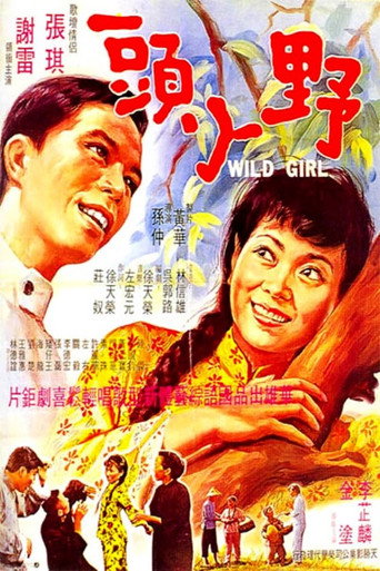 Wild Girl movie poster