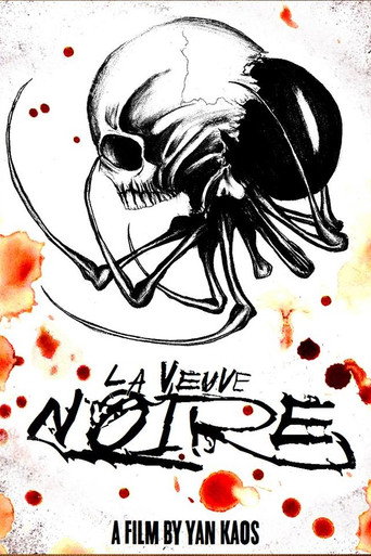 La Veuve Noire movie poster