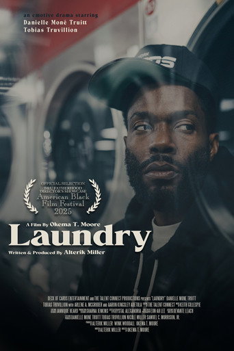 Laundry movie poster