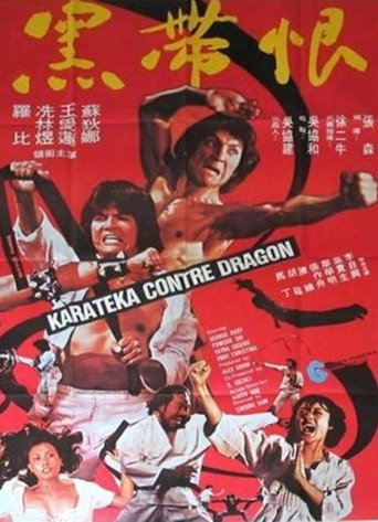 Two in Black Belt movie poster