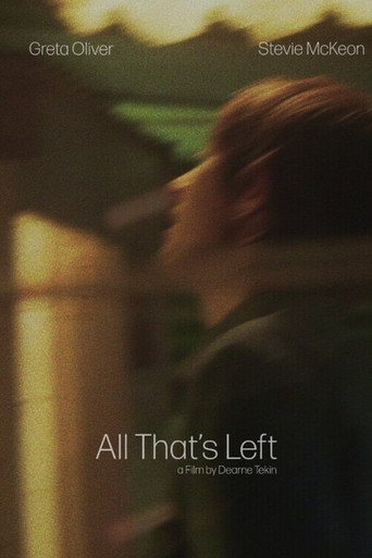 All That’s Left movie poster