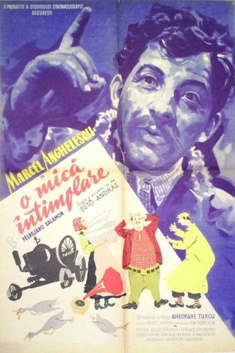 O mica întîmplare movie poster