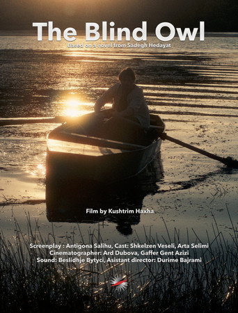 The Blind Owl movie poster