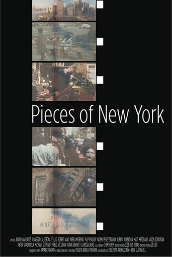 Pieces of New York movie poster