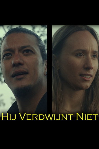 He doesn't disappear movie poster