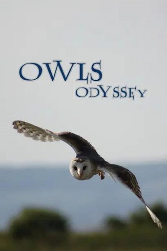 Owl's Odyssey movie poster