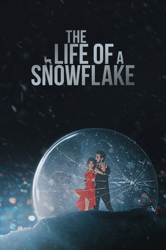 The Life of a Snowflake movie poster