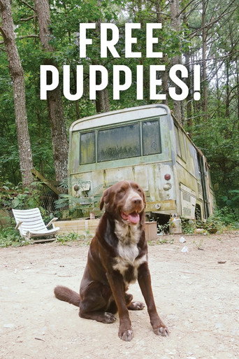Free Puppies! movie poster