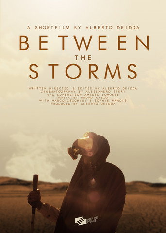 Between the Storms movie poster