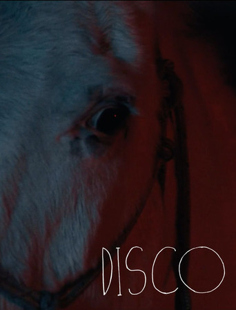 Disco movie poster
