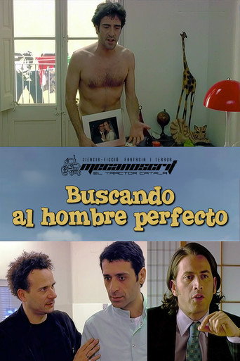 Buscant l’home perfecte movie poster
