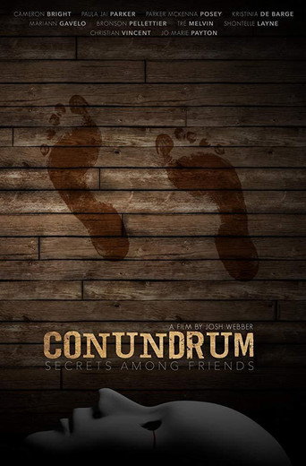 Conundrum: Secrets Among Friends movie poster