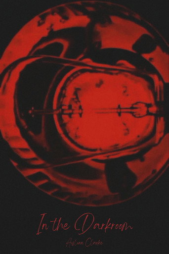 In the Darkroom movie poster