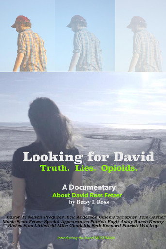 Looking for David movie poster