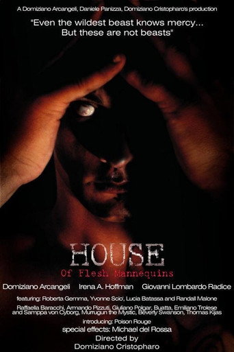 House of Flesh Mannequins movie poster