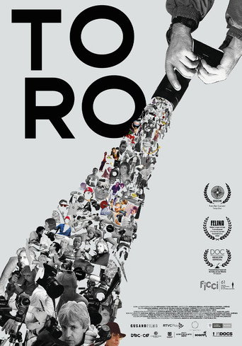Toro movie poster