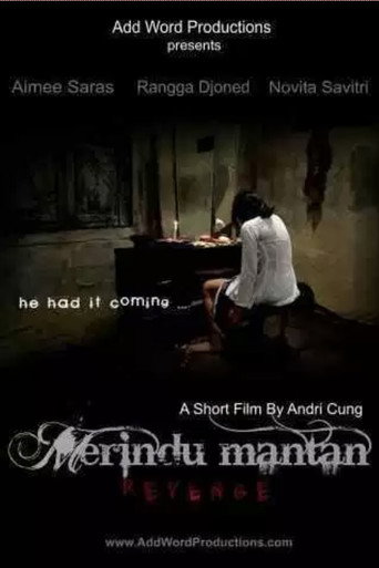 Revenge movie poster