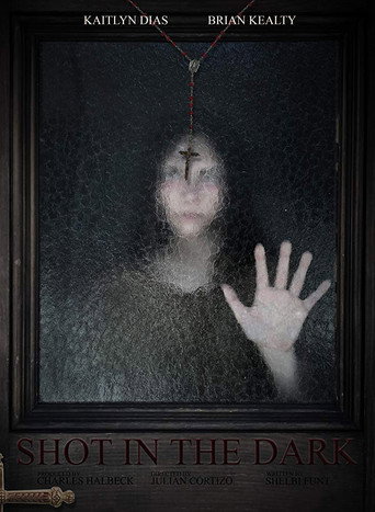 Shot in the Dark movie poster